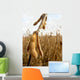 Soy Bean Field Wall Decal