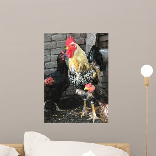 Rooster and Hens Wall Mural
