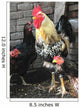 Rooster and Hens Wall Mural