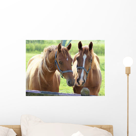 What Lovely Couple Wall Decal