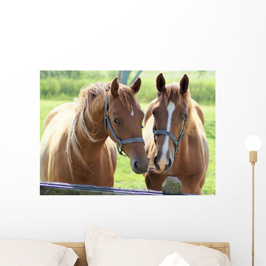 What Lovely Couple Wall Decal