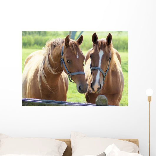 What Lovely Couple Wall Decal