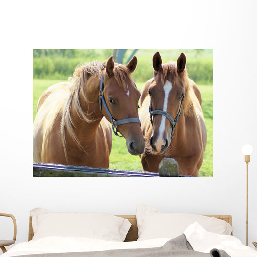 What Lovely Couple Wall Decal