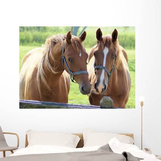 What Lovely Couple Wall Decal