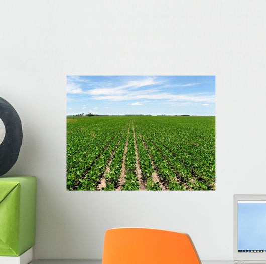 Soybean Crop Wall Decal