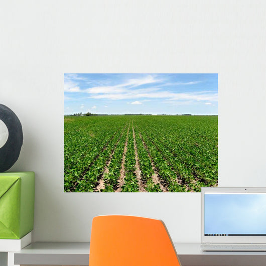 Soybean Crop Wall Decal