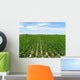 Soybean Crop Wall Decal