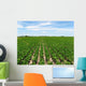 Soybean Crop Wall Decal