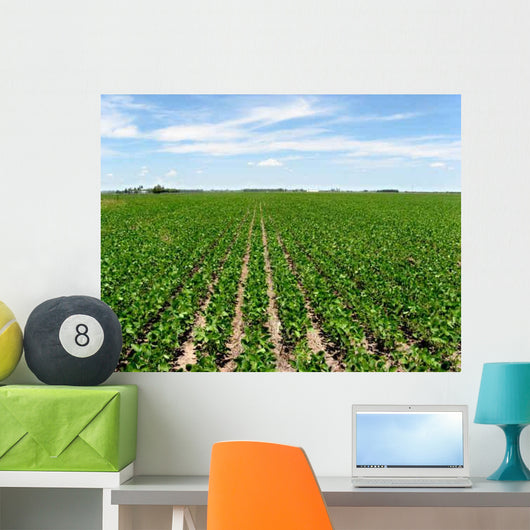 Soybean Crop Wall Decal