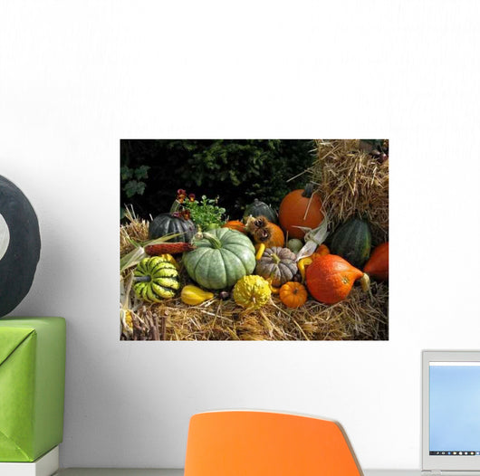 Kuerbisvielfalt Wall Decal