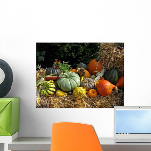 Kuerbisvielfalt Wall Decal