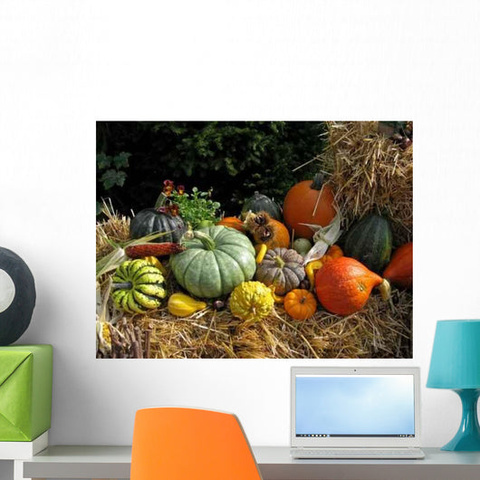 Kuerbisvielfalt Wall Decal