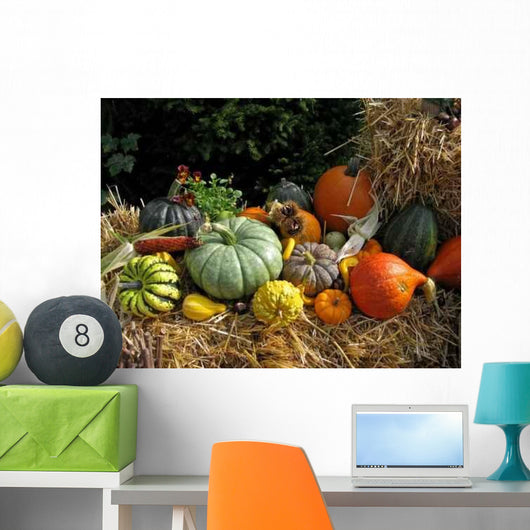 Kuerbisvielfalt Wall Decal
