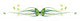 Elegant Butterfly Floral Border Wall Decal