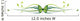 Elegant Butterfly Floral Border Wall Decal