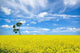 Single Tree 2 Wall Decal