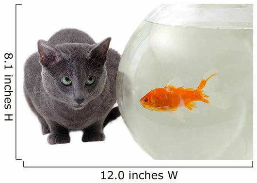 Cat and Fish Wall Decal