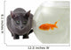 Cat and Fish Wall Decal