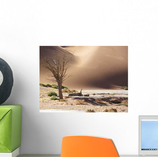 Olympus Digital Camera Wall Decal Design 4