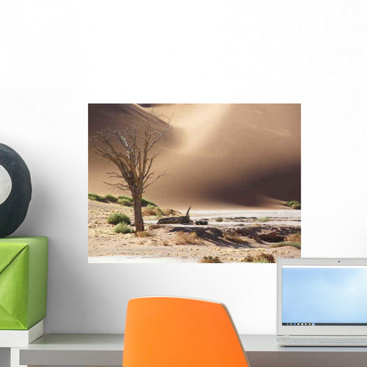 Olympus Digital Camera Wall Decal Design 4