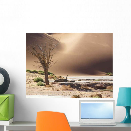 Olympus Digital Camera Wall Decal Design 4
