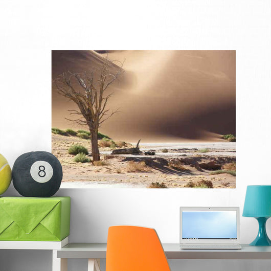 Olympus Digital Camera Wall Decal Design 4