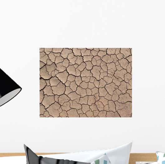Dry Ground Texture Wall Decal