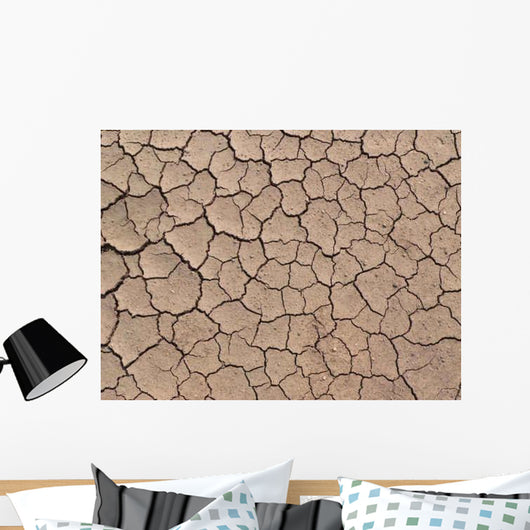 Dry Ground Texture Wall Decal