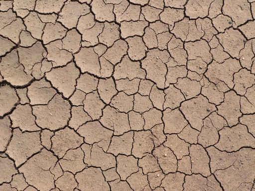 Dry Ground Texture Wall Decal