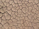 Dry Ground Texture Wall Decal