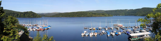 Rursee Wall Decal