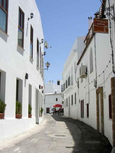 Conil Wall Decal
