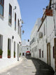 Conil Wall Decal