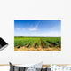 Vines Curbs Wall Decal Design 4