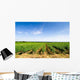Vines Curbs Wall Decal Design 4