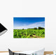 Vines Curbs Wall Decal Design 2