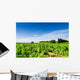 Vines Curbs Wall Decal Design 2