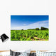 Vines Curbs Wall Decal Design 2