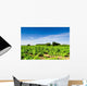 Vines Curbs Wall Decal Design 1