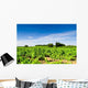 Vines Curbs Wall Decal Design 1