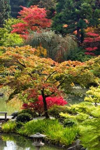 Japanese Garden-Seattle Wall Decal