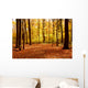Fall Forest Landscape Wall Decal