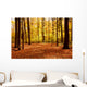 Fall Forest Landscape Wall Decal