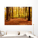 Fall Forest Landscape Wall Decal