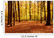 Fall Forest Landscape Wall Decal