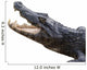 Alligator White Wall Decal