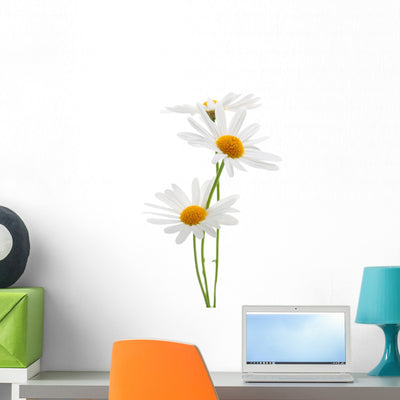 Daisies White Wall Decal shown on a wall