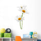 Daisies White Wall Decal