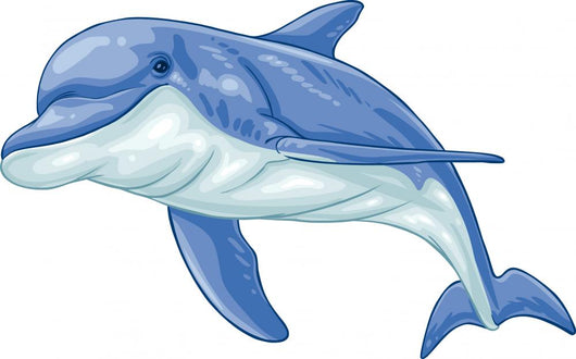 Dolphin Wall Decal