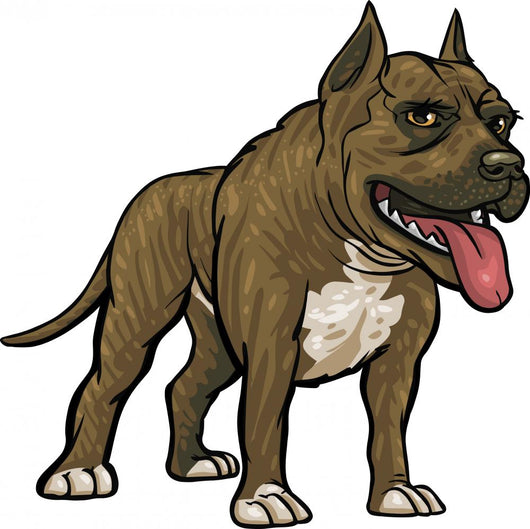 Dog Breeds Pitbull Wall Decal